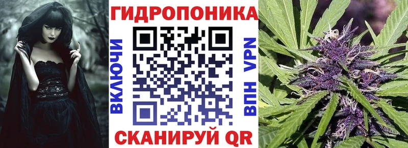 Купить где  Верхнеуральск  Конопля планчик 